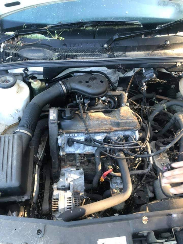 1684189C-732B-4382-8821-E74302A1B5EA