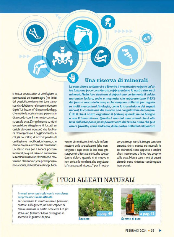 Sal Nat Feb 2024 (4)