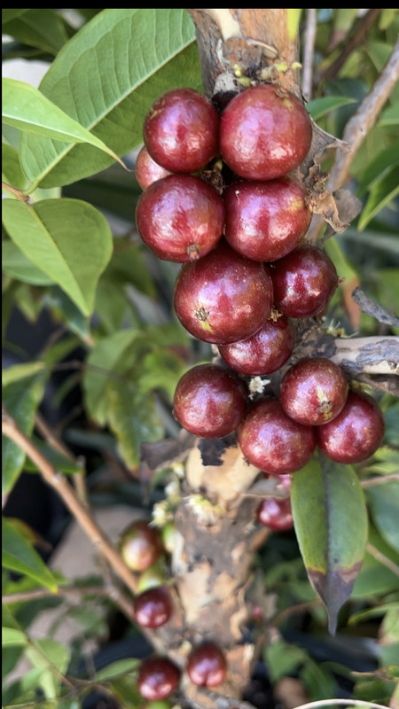 E7328BD9-CAC1-457D-AC5A-3AEEF47D95A3