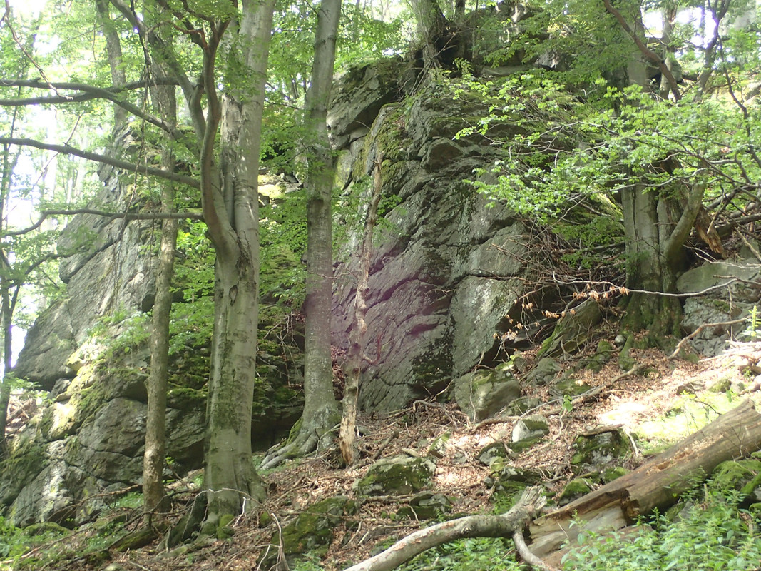 2019_0714VTACNIK_TG0134