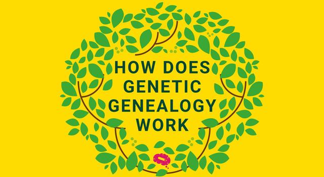 [Image: how-does-genetic-genealogy-work-blog.jpg]