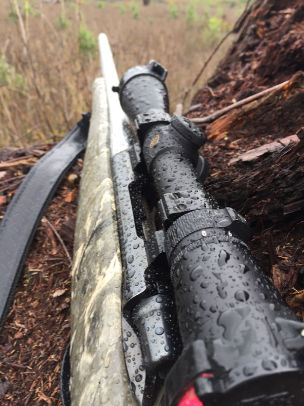 1195F60E-38CD-4C49-BE15-6E21D65E77BB