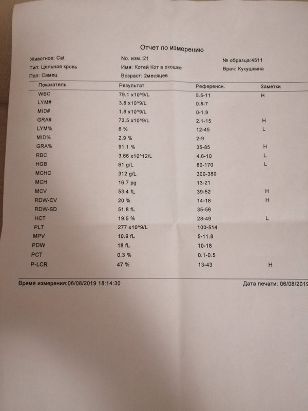 IMG 2323 — Postimages