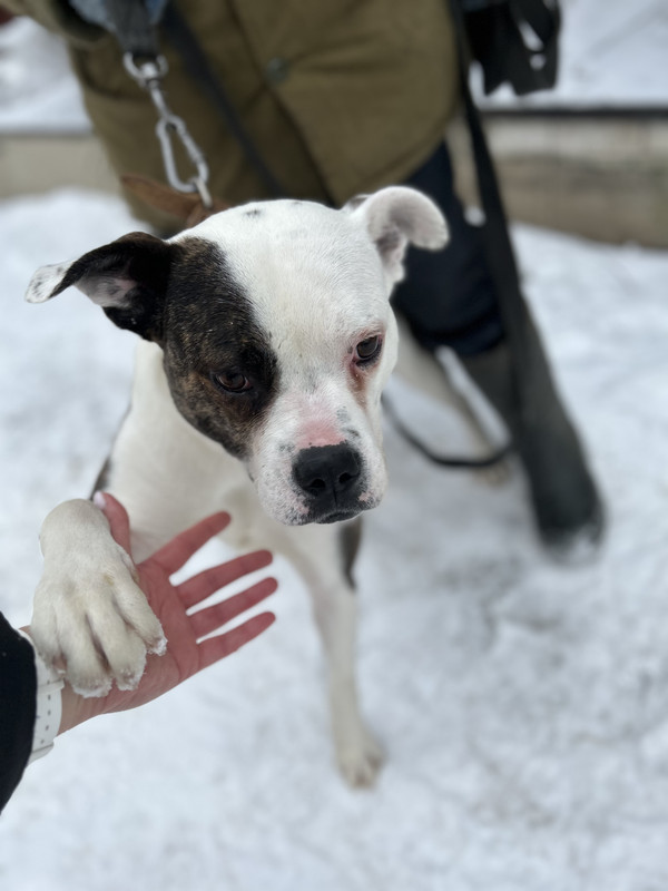 FAECA5BD-9623-4C91-B6CD-53733A464AA7