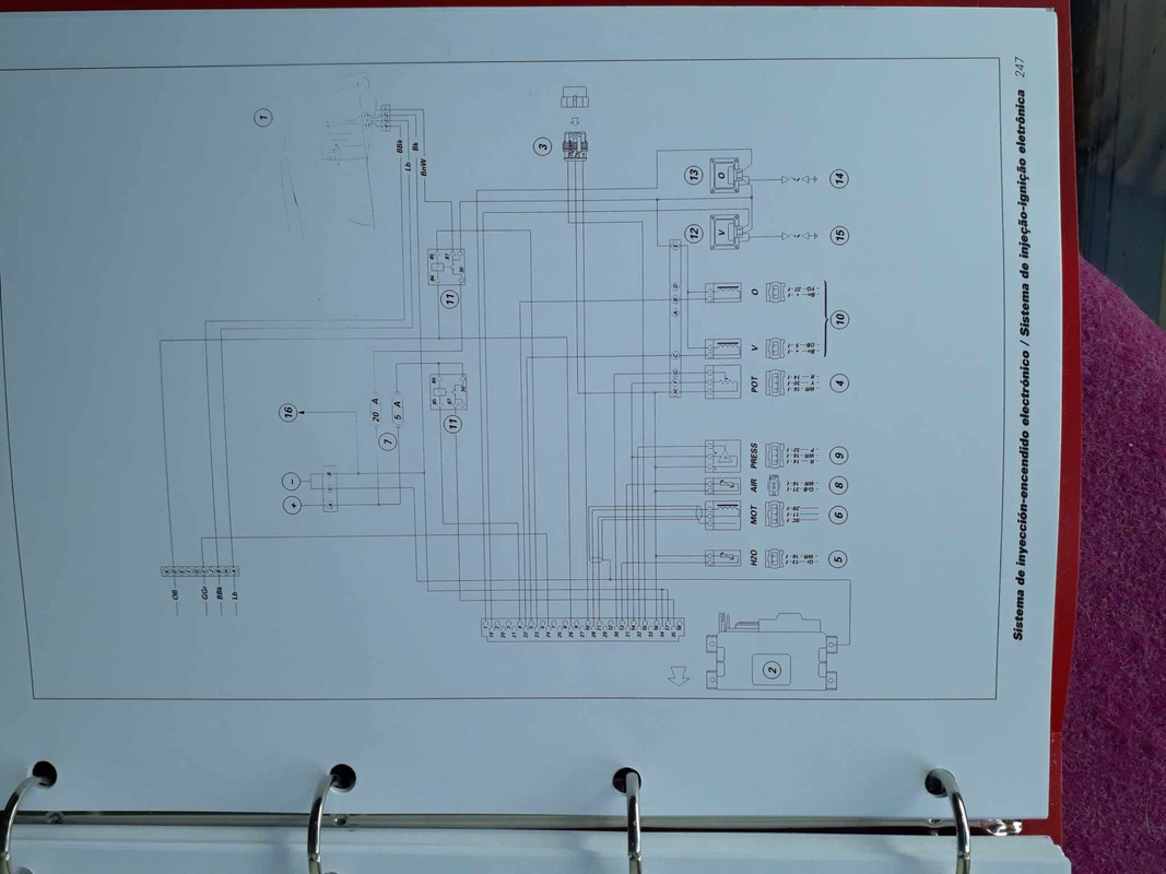 387417609_246466148415653_3414658294449240722_n