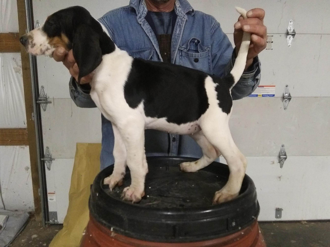 60A33738-99C1-4F0F-9BCA-3D9F5CD6CF77