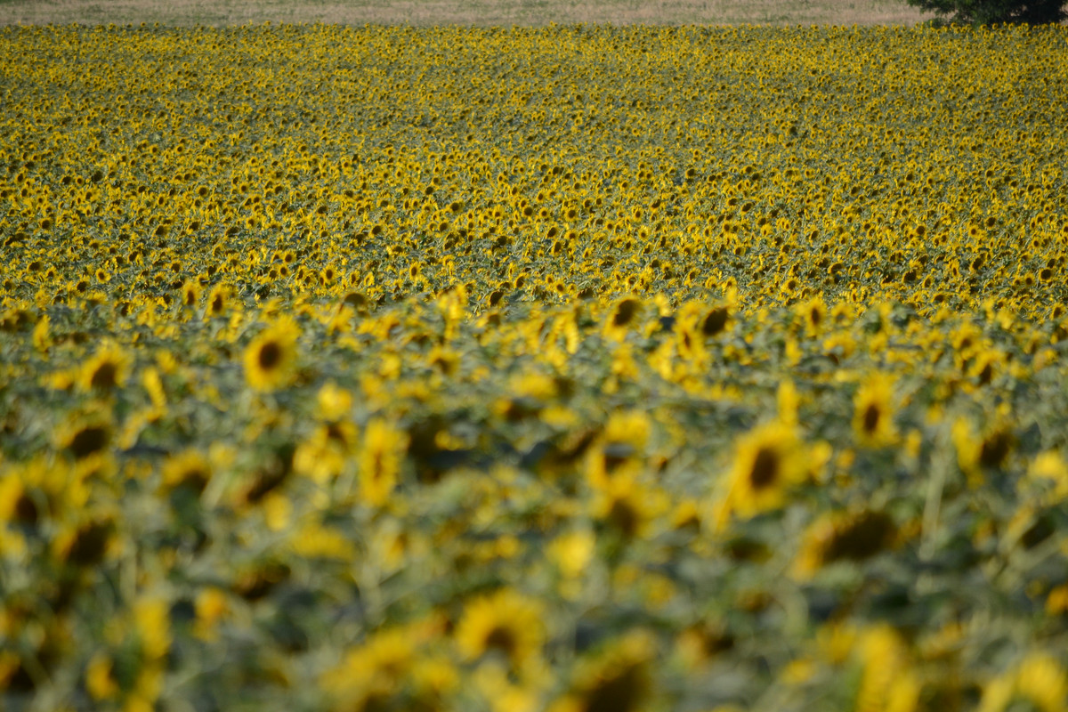 IMG_20220510_233248_088