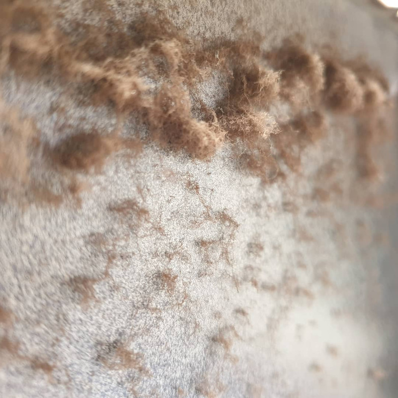 IMG_20190415_155616_452