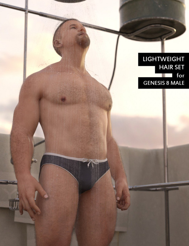 Lightweight Hair Set for Genesis 8 Male Lightweight Hair Set for Genesis 8 Male
