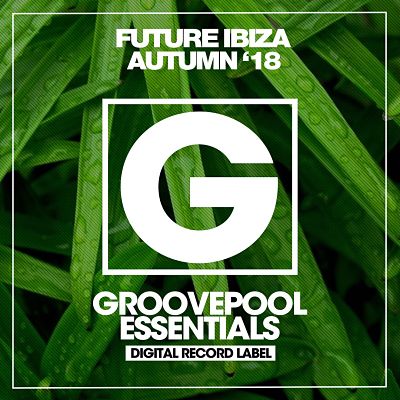 VA - Future Ibiza (Autumn '18) (09/2018) VA_-_Fui18_opt