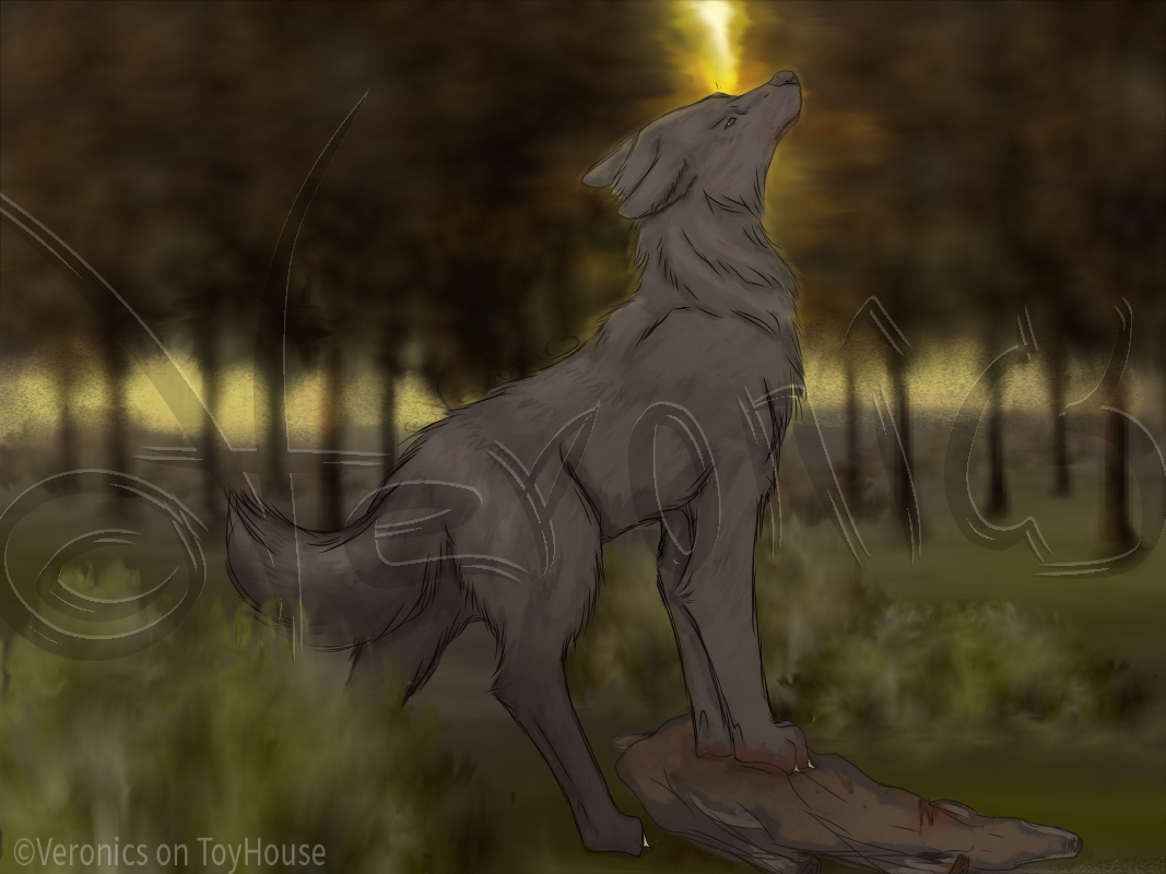 IMG-1572.png