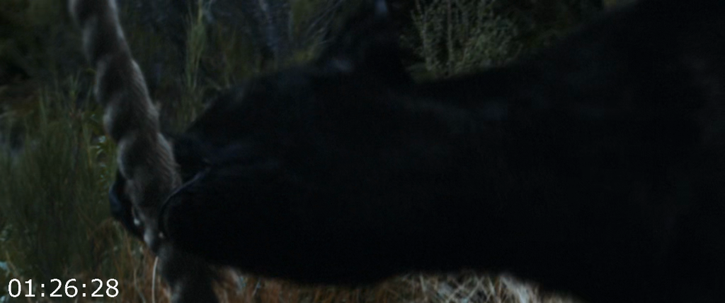 [Kép: Bookworm-2024-1080p-Blu-Ray-HEVC-BONE-F.png]