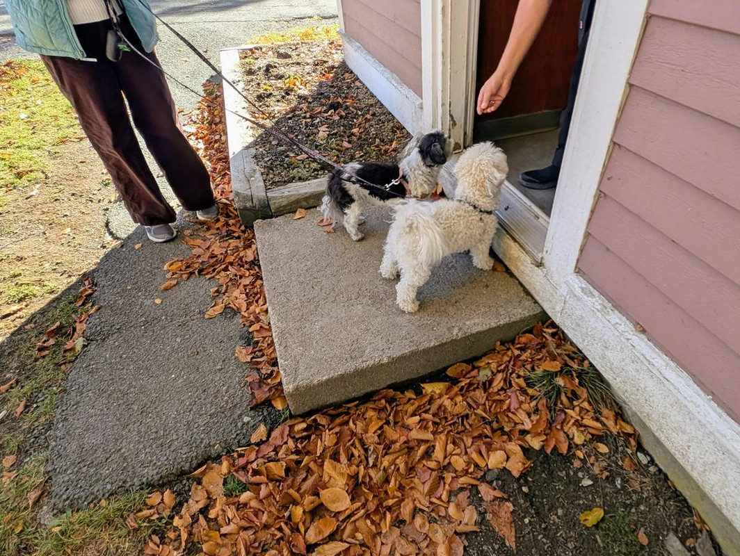 PXL 20251026 143838679 2