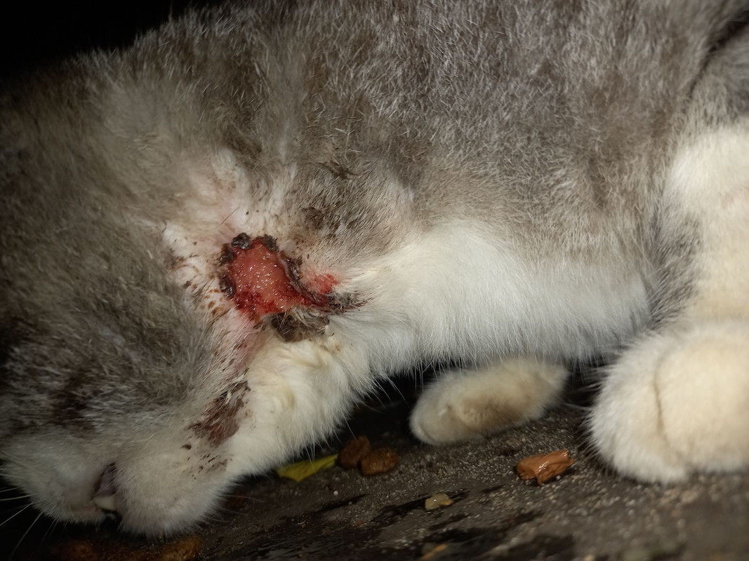 05475964-1136-49D6-954B-B8032C3E3D6E