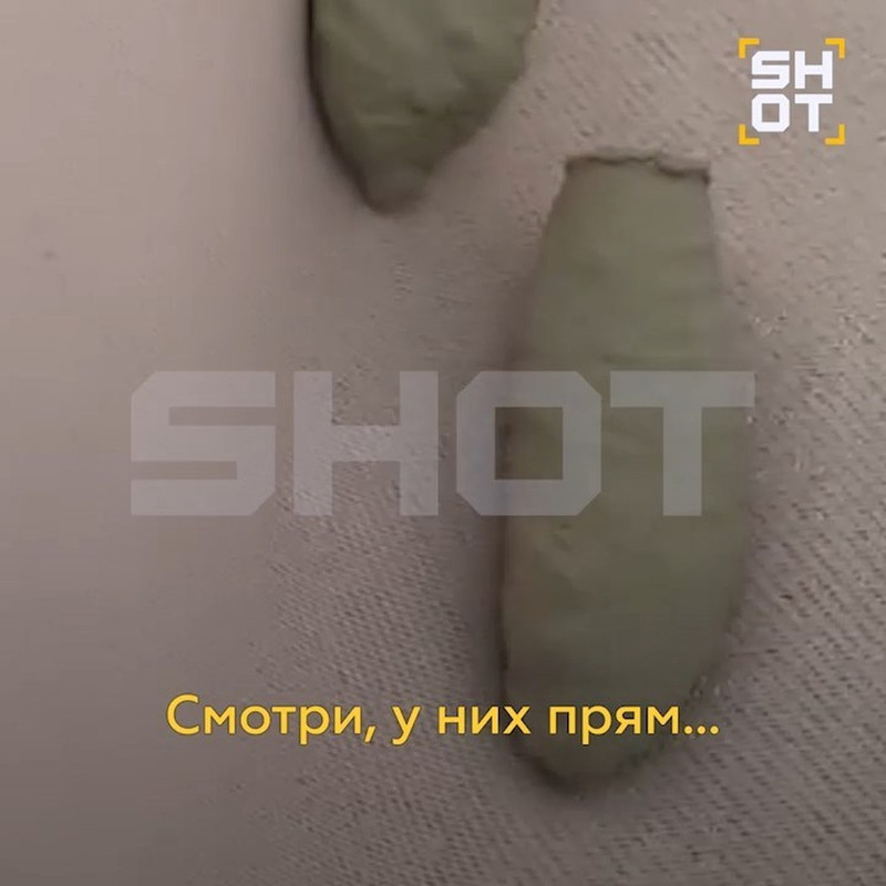 https://i.postimg.cc/7Y12wcPz/100.jpg