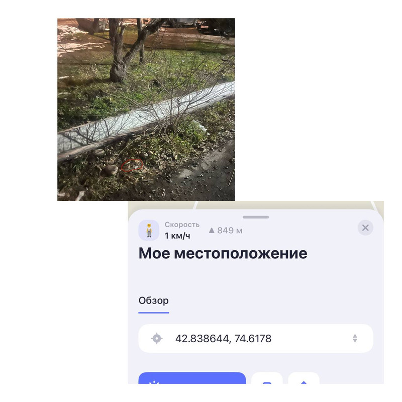 IMG 9565