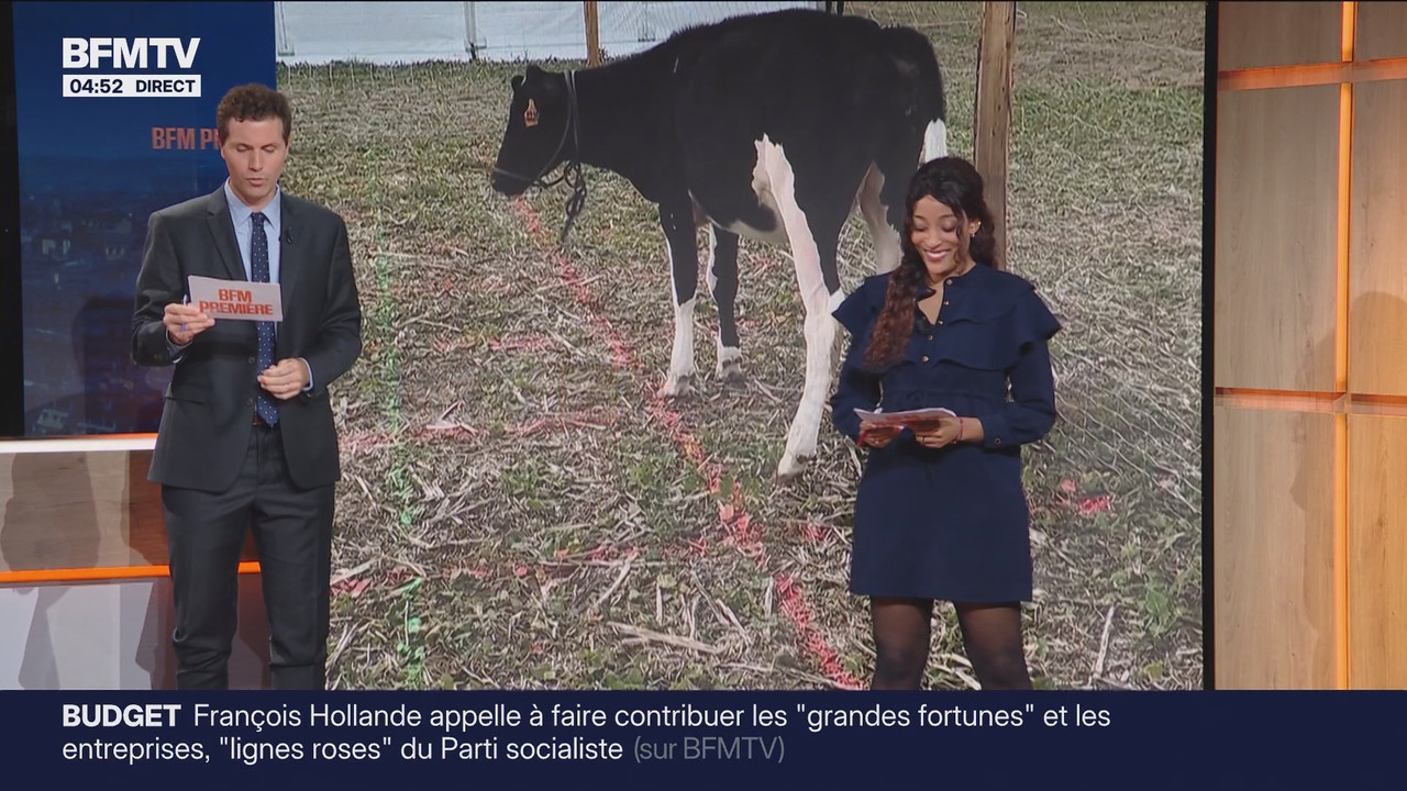 BFM Première Pré-matinale (BFMTV)_2025_09_15_03_25_70.ts_snapshot_00.28.44.925