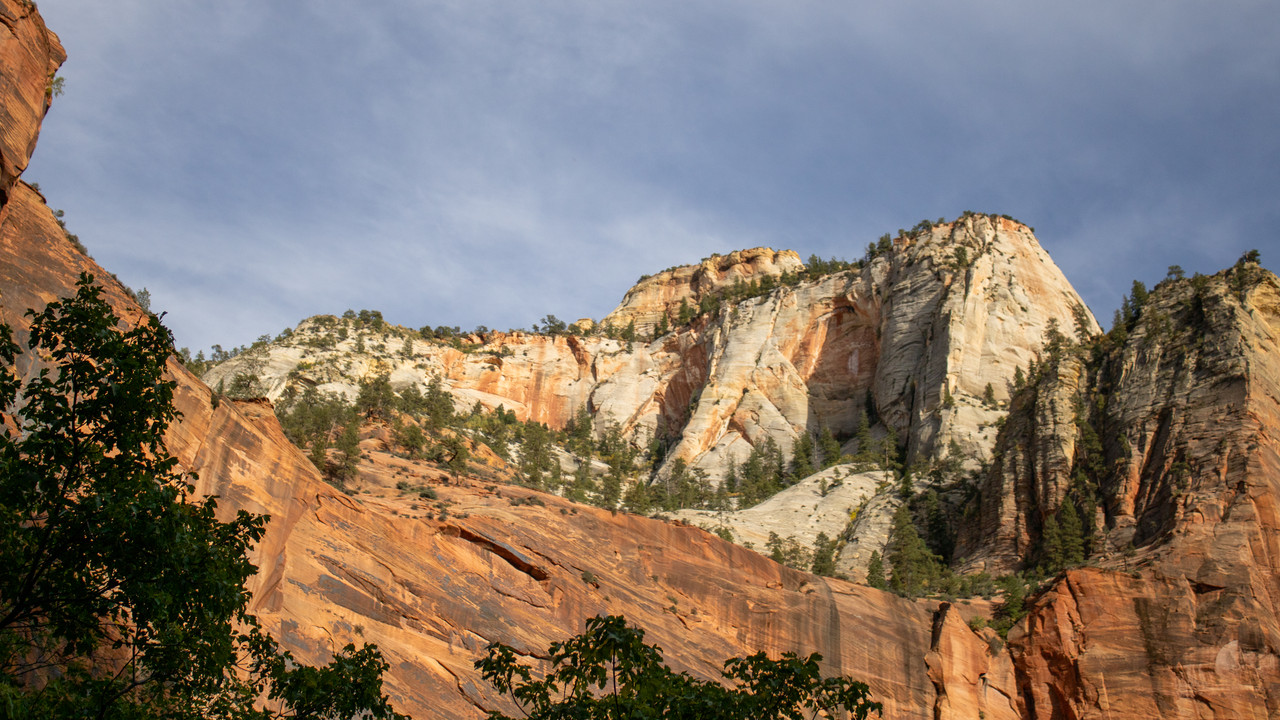 zionnp