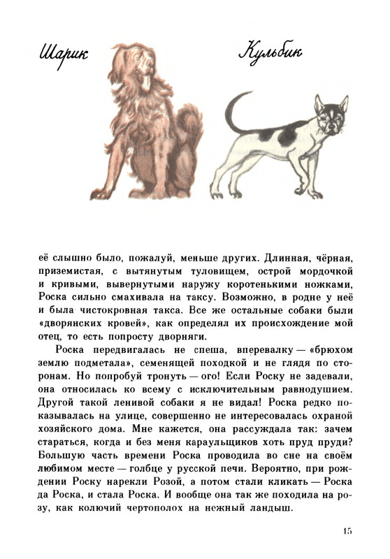 Rabinin-Boris-Chudesa-v-reshete-page-0019