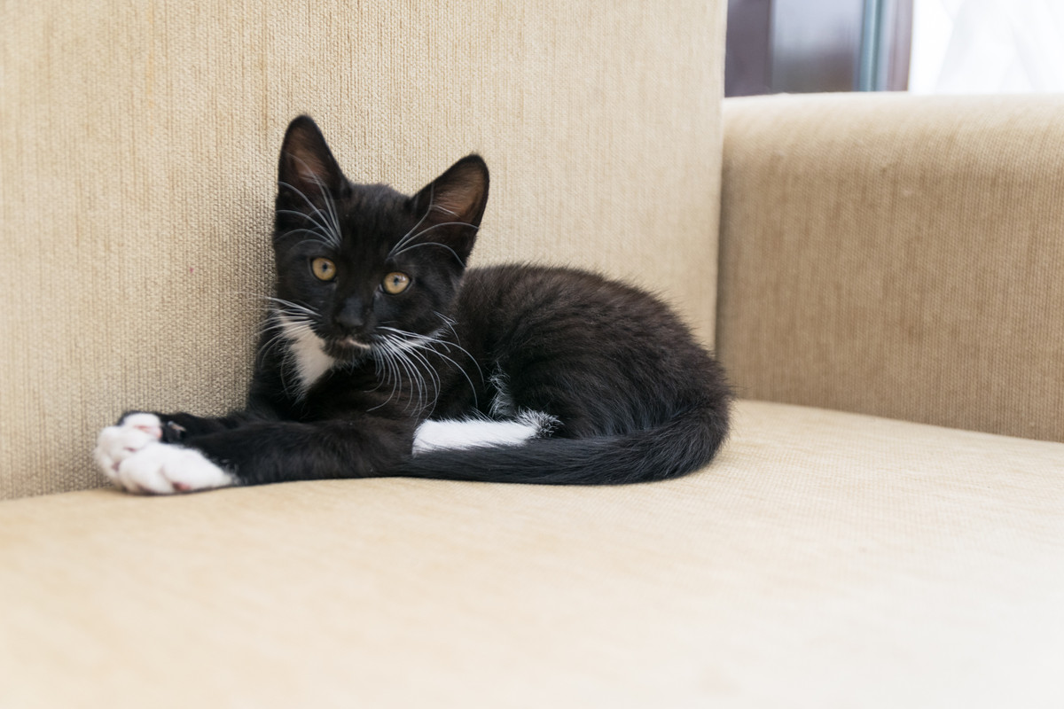 ?омка и Марго-15