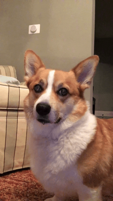 giphy-2025-05-02-T122322-784