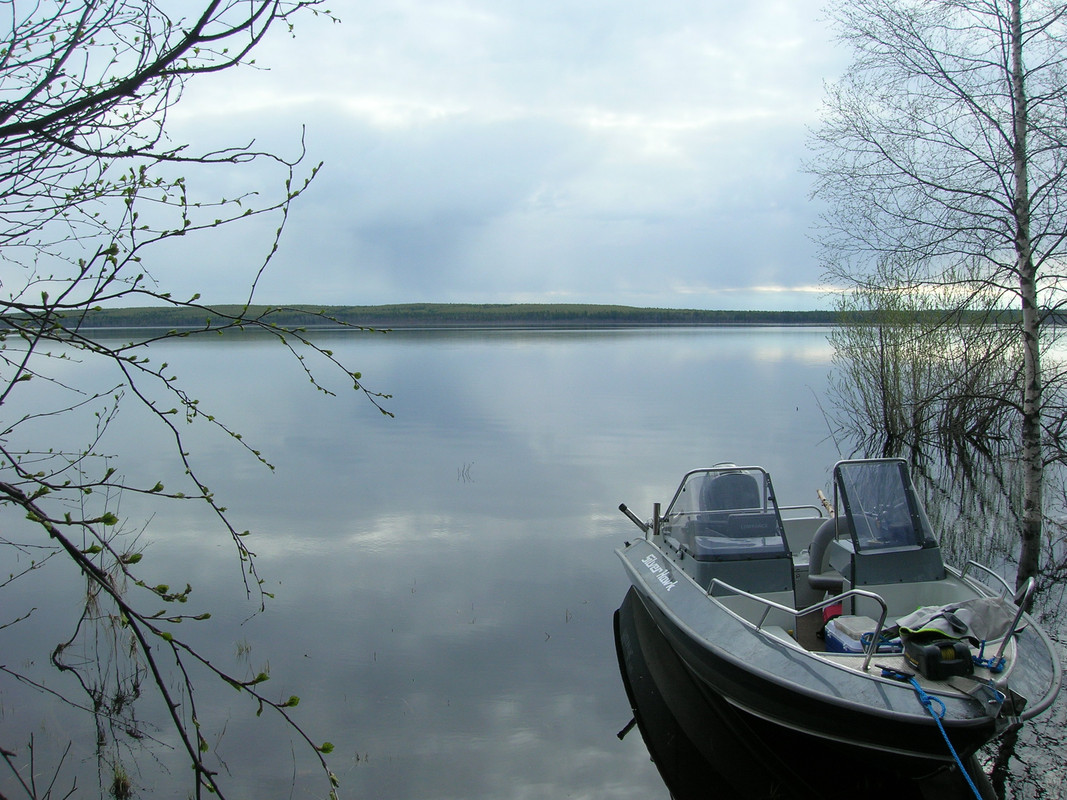 DSCN9508 спиннинг