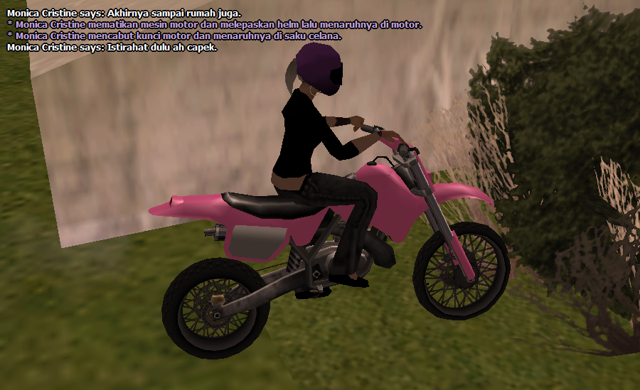 SS-CK-1.png