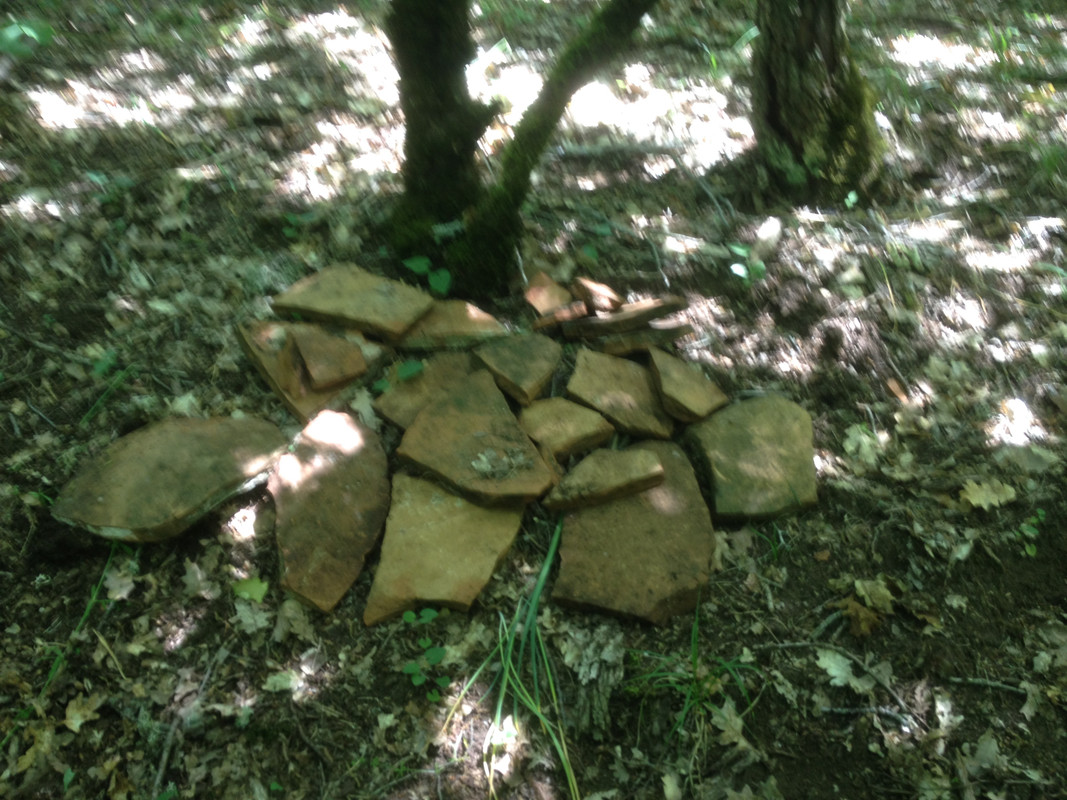 IMG 0819 — Postimages