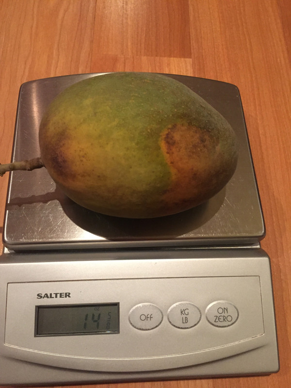 9EABA5A8-E395-4035-99D4-7FC1EF7D0784