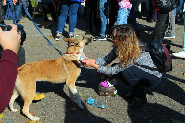 4BCA0EFB-0773-4F22-9953-017788FEFB56