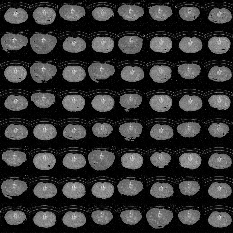DCGAN 256px at 1000 epochs