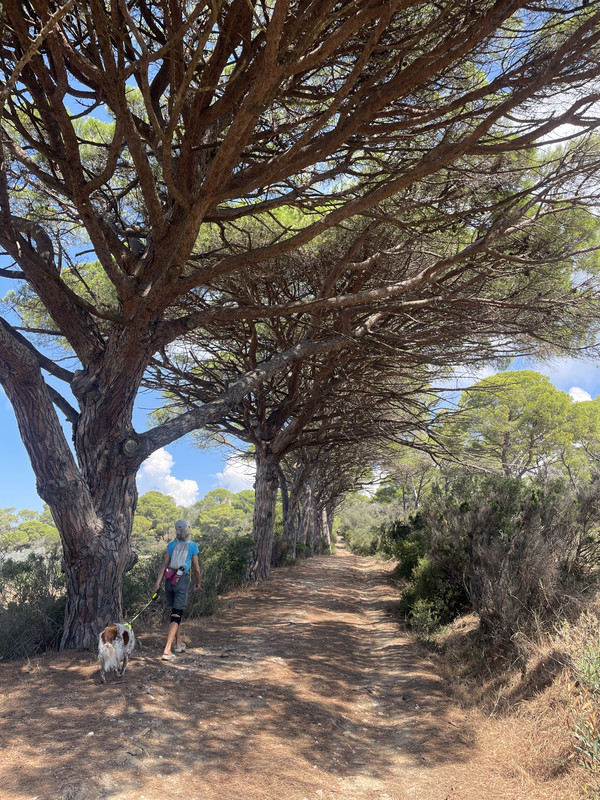 C4BF6FAD-F8B3-4315-B3B8-E306A81C285F