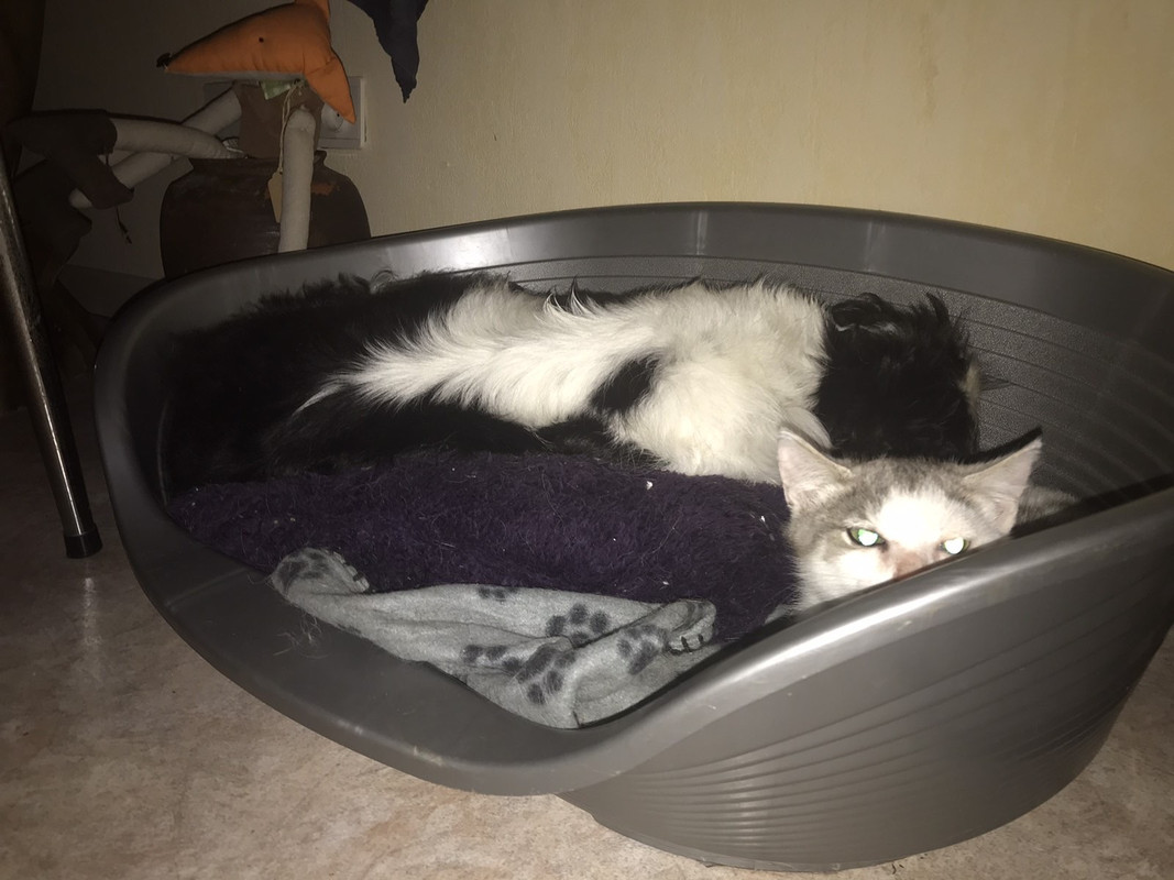 56F8638E-53A9-4762-AE2B-5FA45870B028