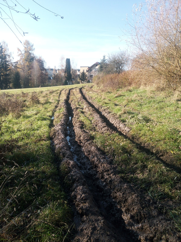 IMG 20251107 100122252