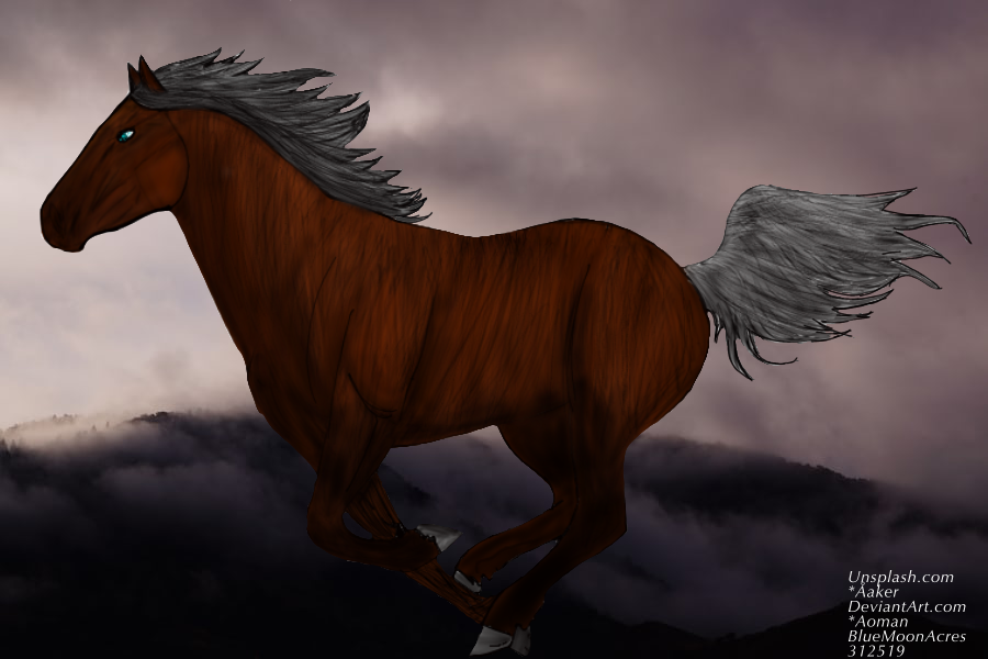 72D5B71A-7588-45F6-942D-A9313B07DA47