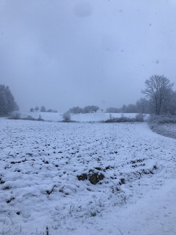 BF0786F9-00E1-41D4-B97C-3632E5B7E339