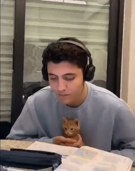 https://i.postimg.cc/7Y3gWQ33/9.gif