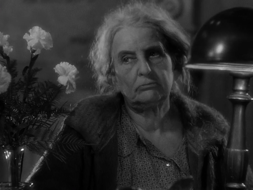 Lady by Choice 1934 WebRip [Hindi + Tamil + Telugu + English] 480p 720p Screenshot