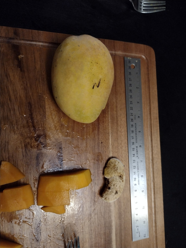 IMG_20210602_192438531