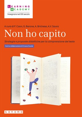 Fabio Caon - Non ho capito (2025)