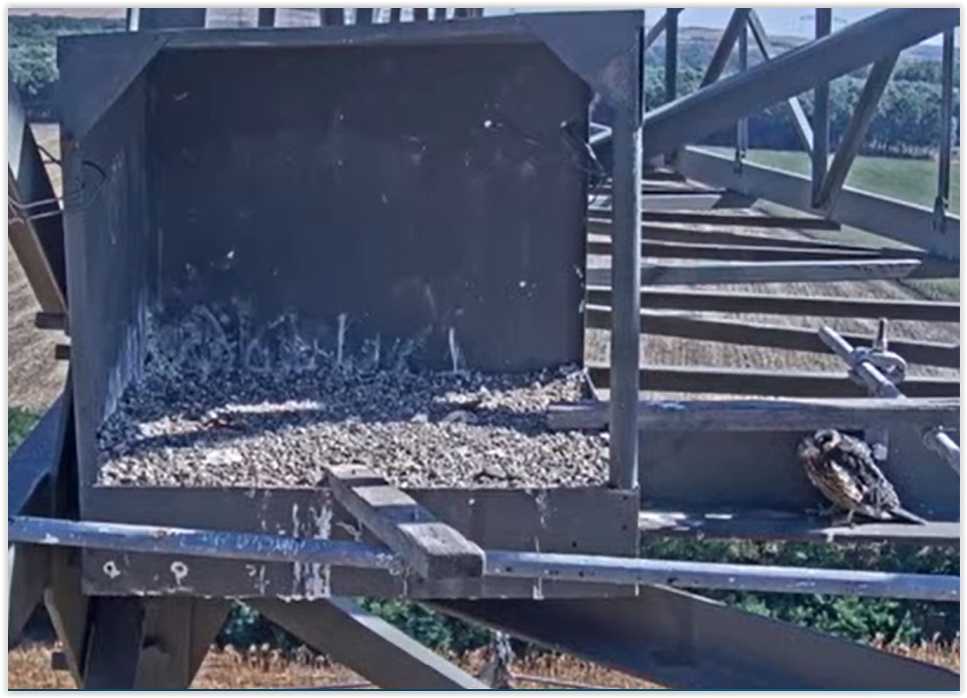 Screen Shot 08-10-22 at 09.36 AM