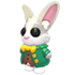 Mr. Whiskerpips