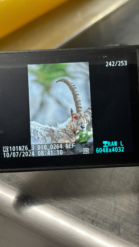 3E3F5ED1-E7D6-41FB-AB7C-E61CCDF4AA30