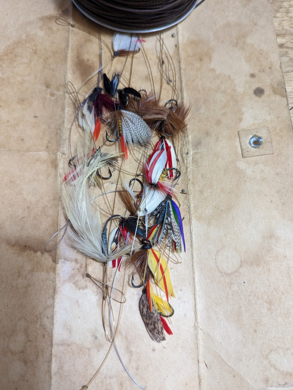 PXL_20221216_190319903