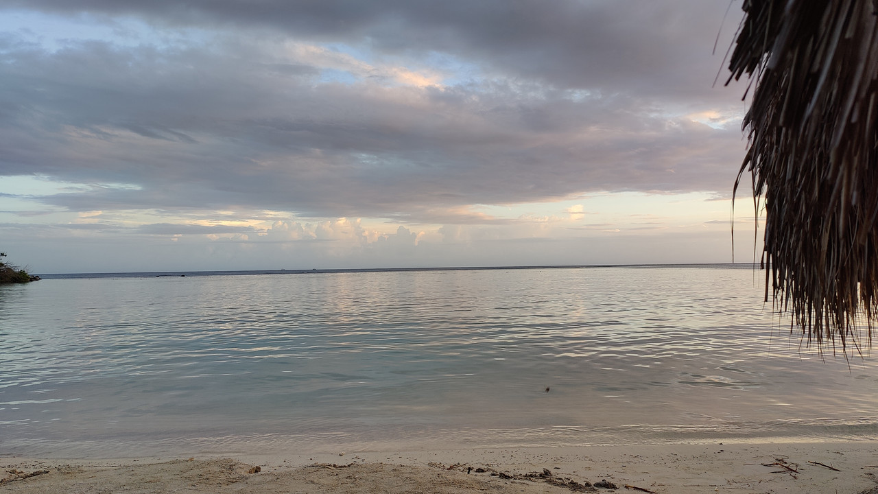 IMG20231027170646.jpg