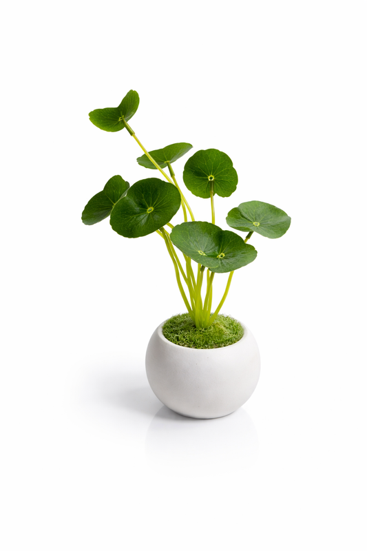 Artificial Pilea Plant Vase Decor