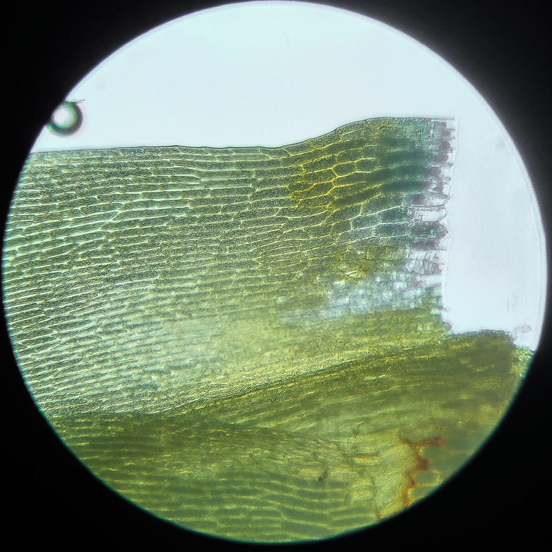 IMG 20250614 111258 HDR