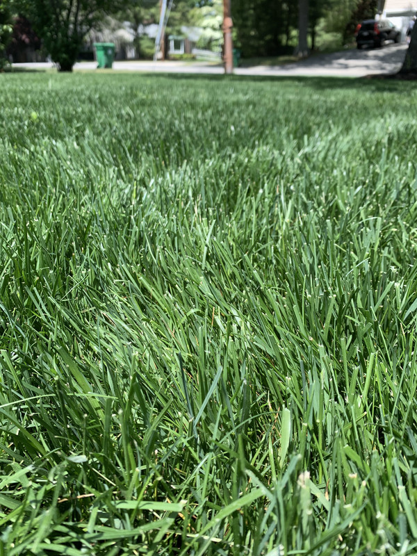 A93CCFC4-F9AC-4183-8679-999EC0F79CE3