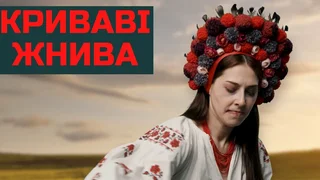 https://i.postimg.cc/7Y65Bc25/scale-1200.webp