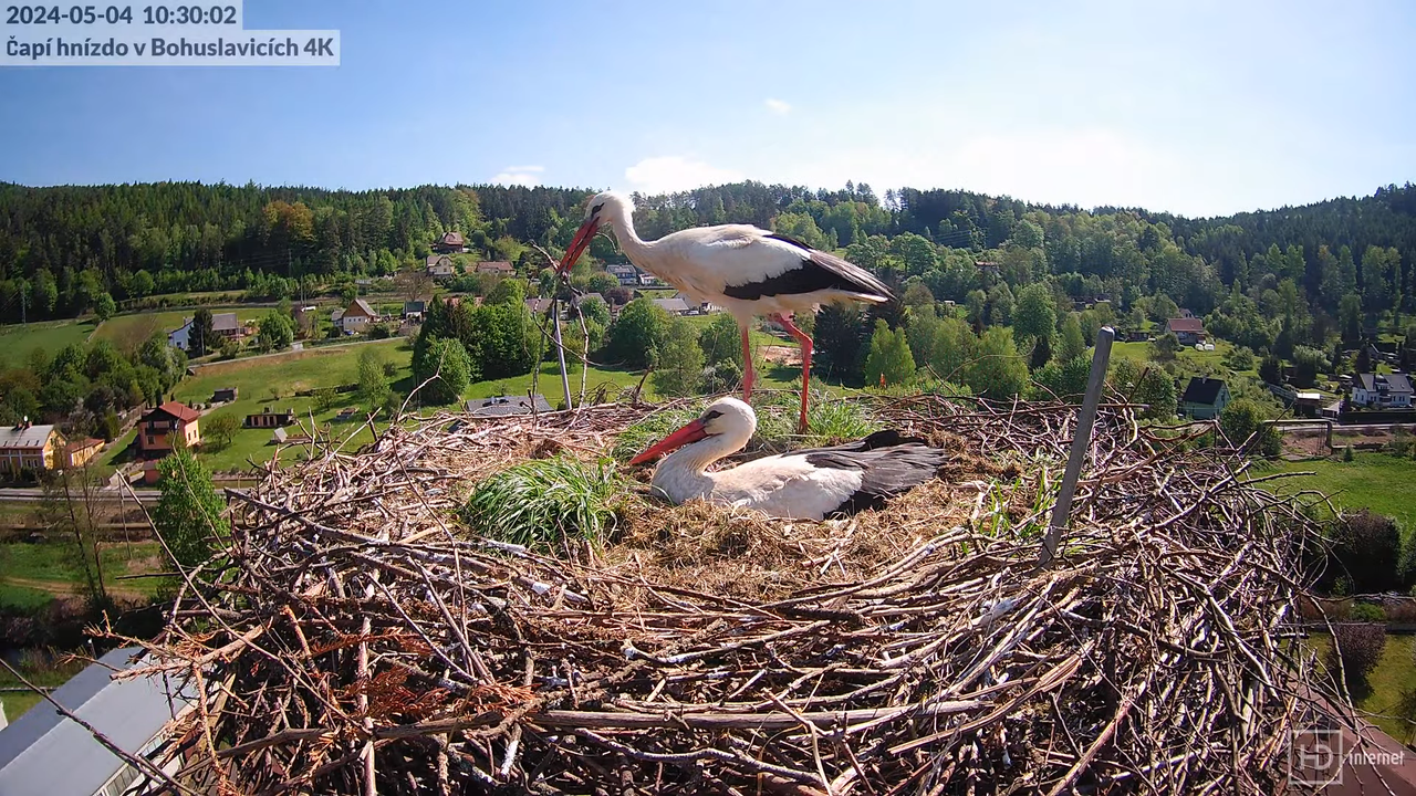 Tiešraidē no uzņēmuma KARA stārķa skursteņa Bohuslavicē pie Trutnovas 5-5-42 screenshot